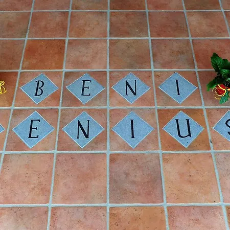 Is Bisus