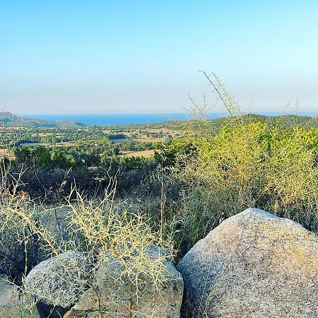 Lantställe Is Bisus *