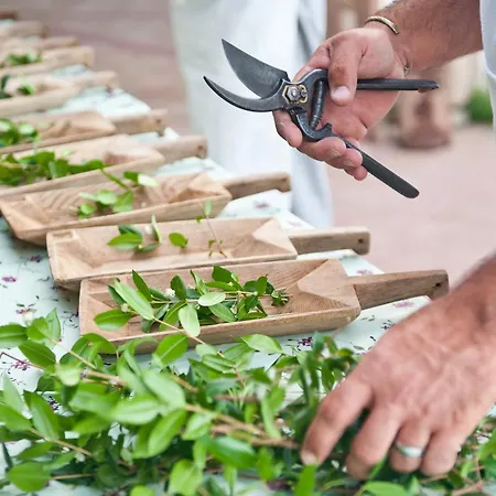 Is Bisus Lantställe *