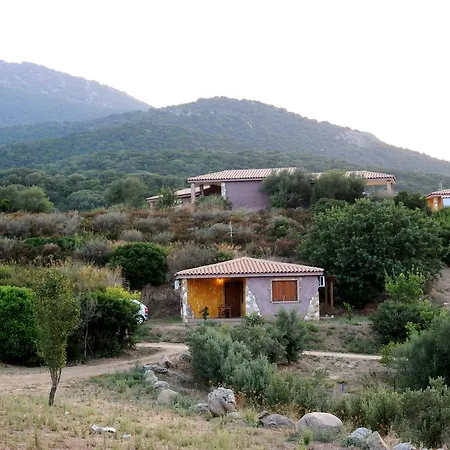 Is Bisus * Castiadas