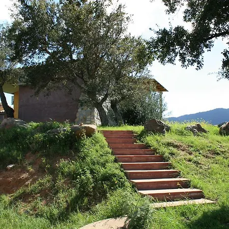 Lantställe Is Bisus *