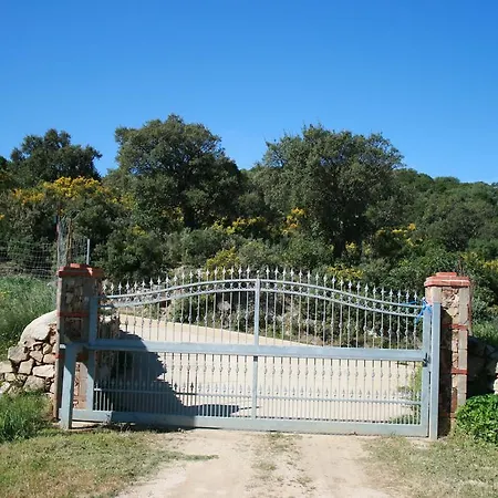 Is Bisus * Castiadas