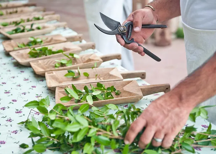 Is Bisus Hétvégi ház *