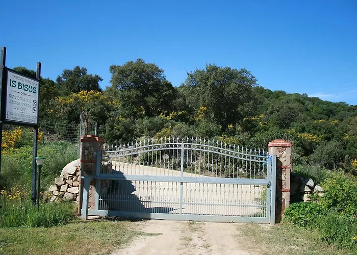 Is Bisus * Castiadas