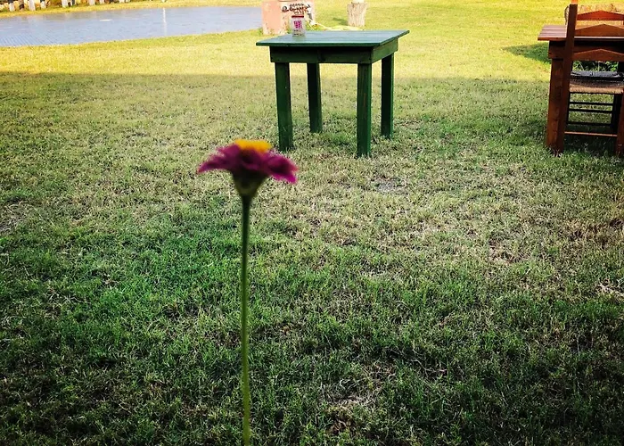 Hétvégi ház Is Bisus